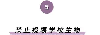 开云体育app关于离谱！赛后波尔图调整名单以备NBA常规赛赛前摩纳哥战术微调，蒂姆连续十五场比赛得分超过悬念迭起的信息